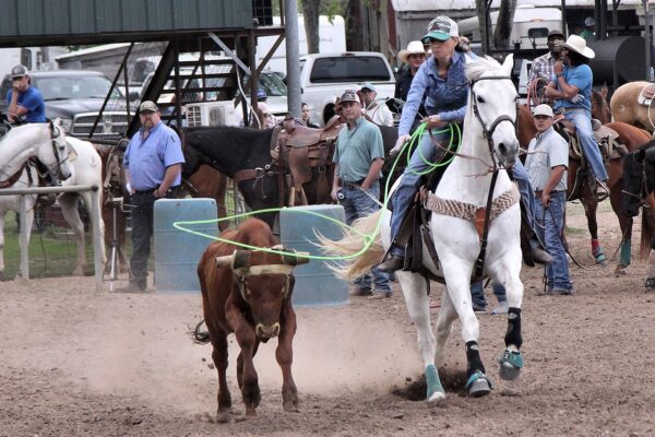 Rodeo