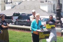 Elizabeth Warren