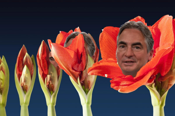 Blooming Sarno