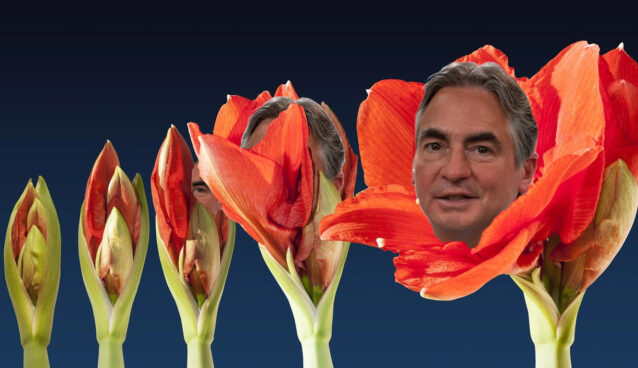 Blooming Sarno