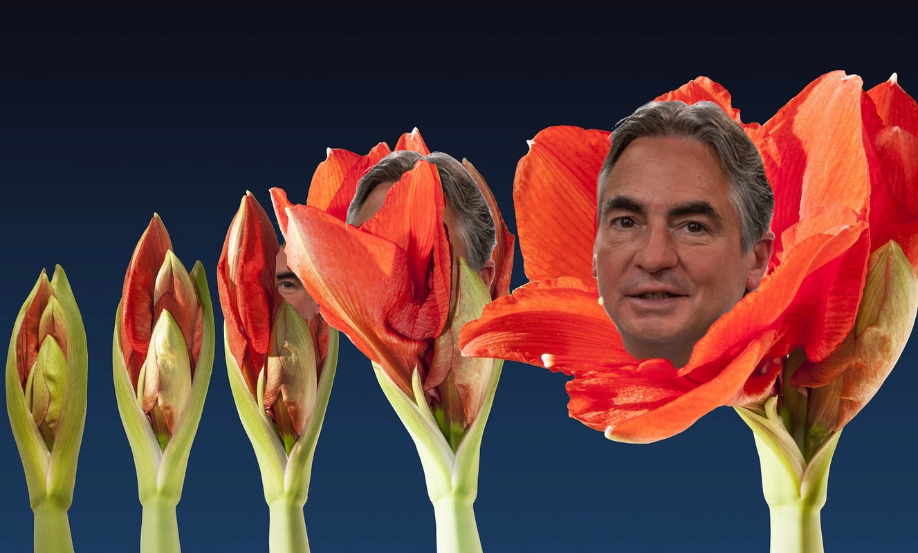 Blooming Sarno
